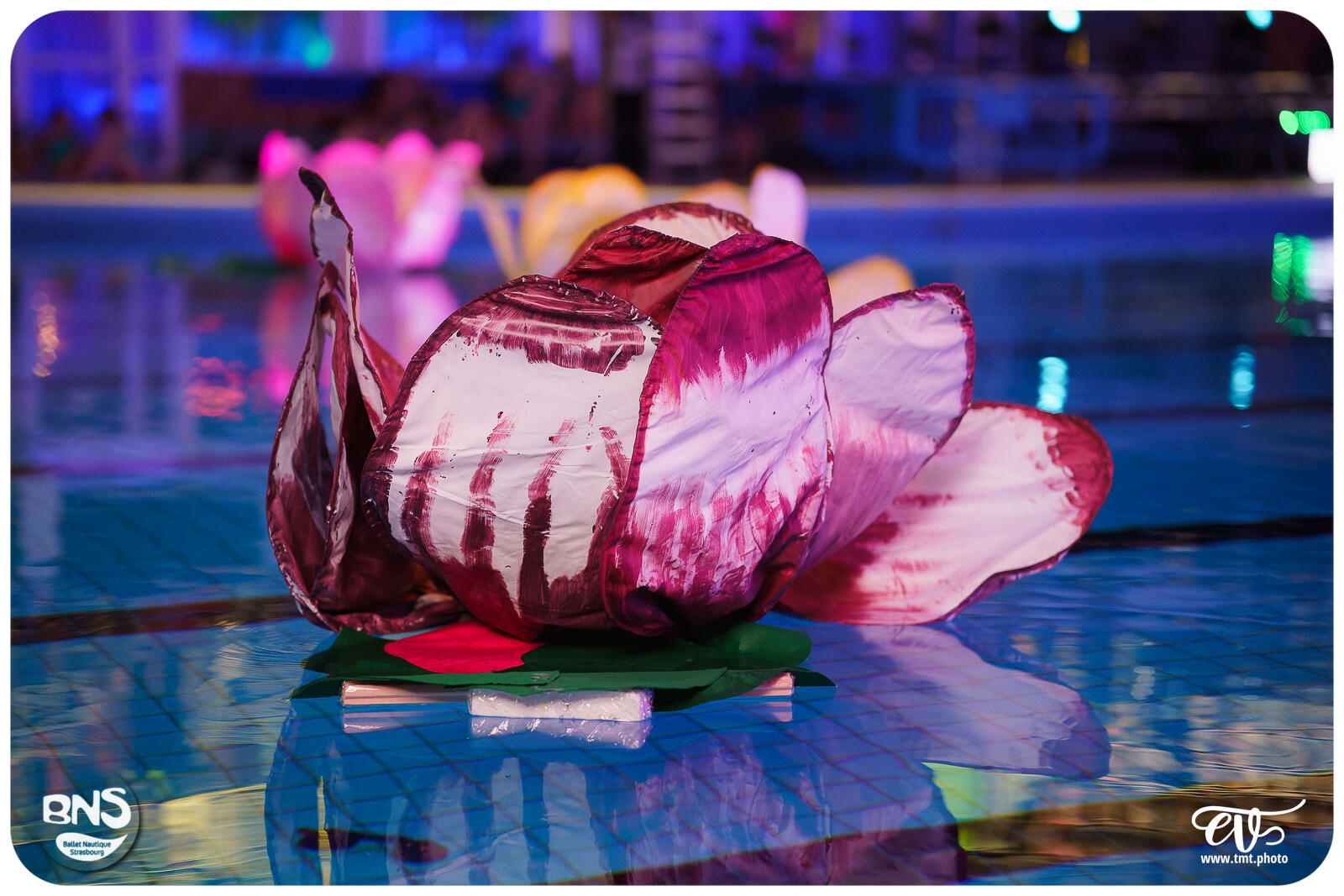 BNS - MILLE ET UNE NUITS